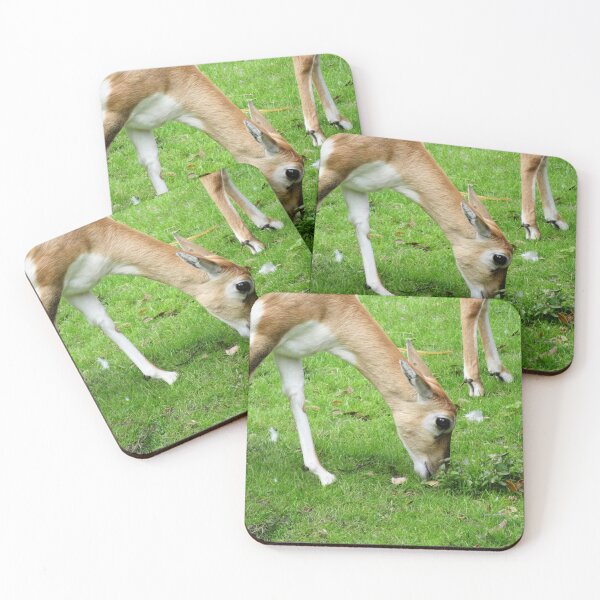 Item preview, Impala Eating Grass designed and sold by ShutterbugBttns.