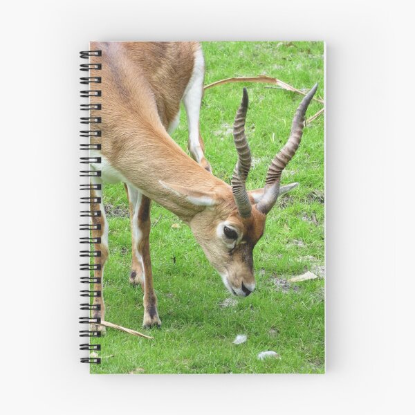 Item preview, Impala designed and sold by ShutterbugBttns.