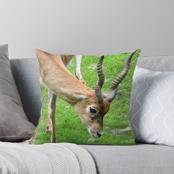 Item preview, Impala designed and sold by ShutterbugBttns.