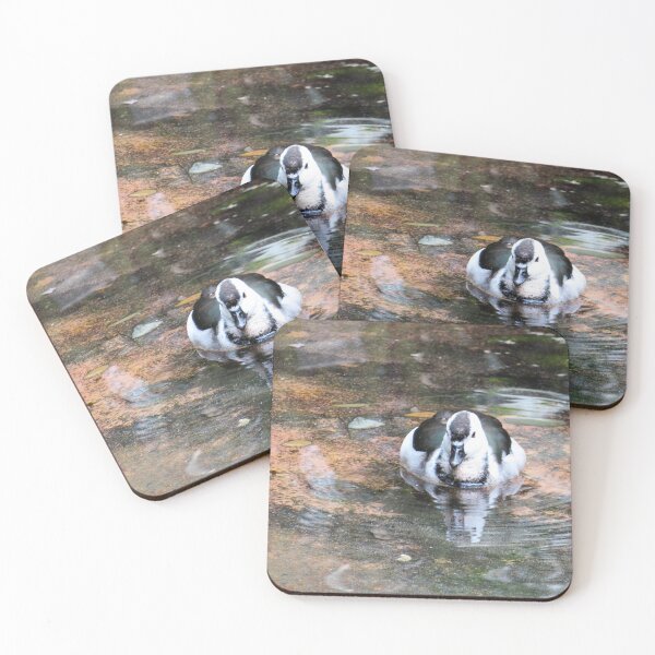 Item preview, Duck designed and sold by ShutterbugBttns.