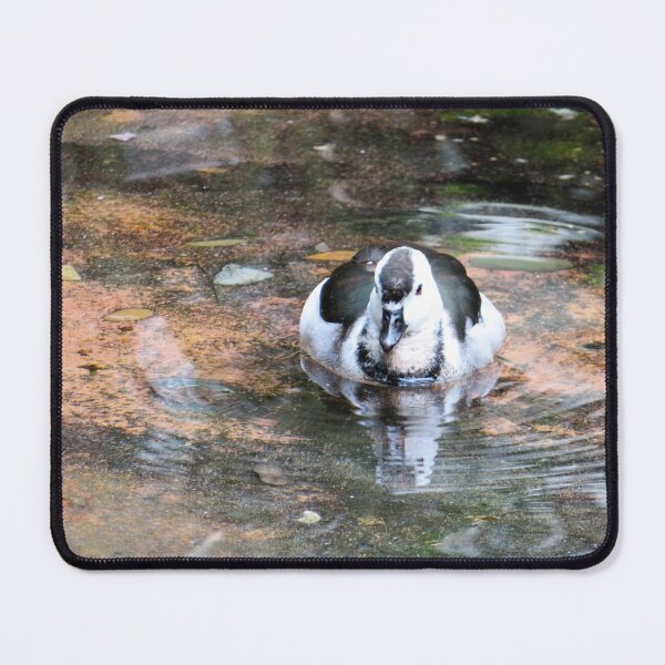 Item preview, Duck designed and sold by ShutterbugBttns.