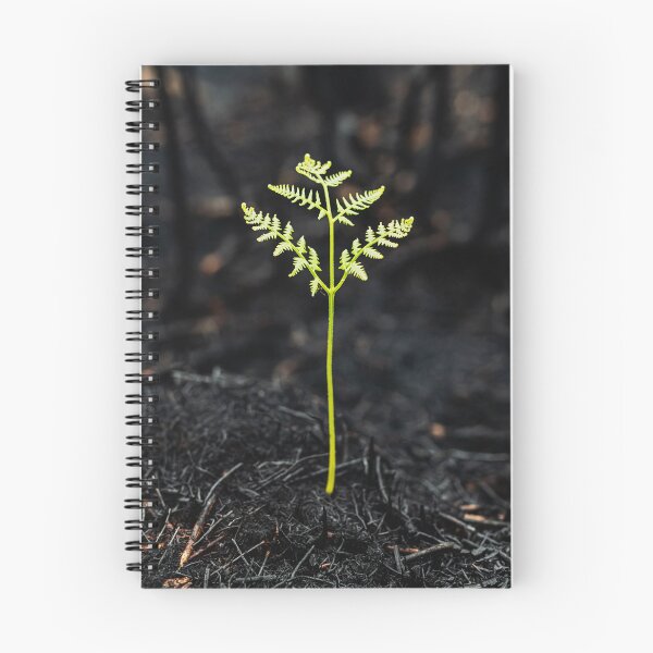 Item preview, Rising From the Ashes designed and sold by shaunlowephoto.