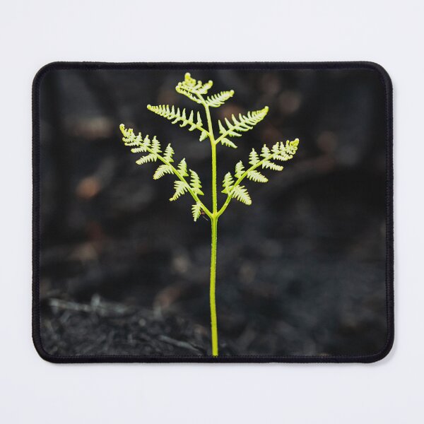 Item preview, Rising From the Ashes designed and sold by shaunlowephoto.