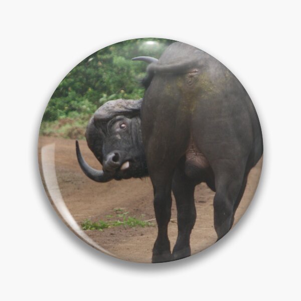 Item preview, The Buffalo Asked: How Do I Look? designed and sold by Maridadi-Design.