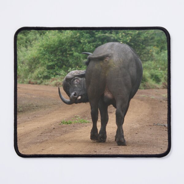Item preview, The Buffalo Asked: How Do I Look? designed and sold by Maridadi-Design.
