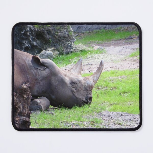 Item preview, Rhino designed and sold by ShutterbugBttns.