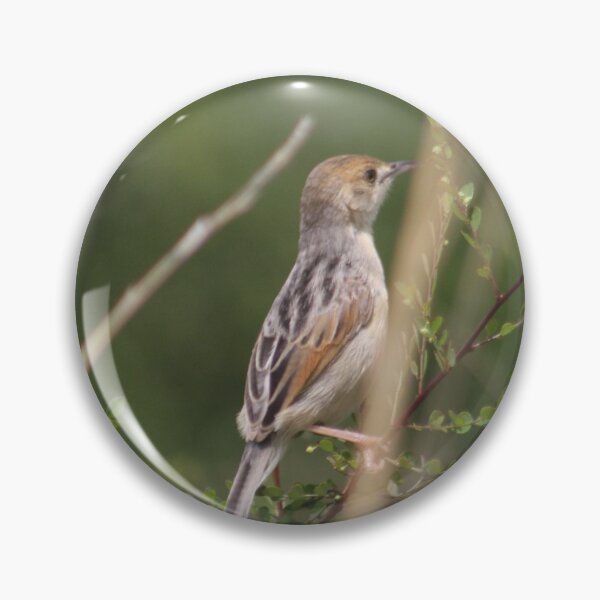 Item preview, The Winding Cisticola Says Hello designed and sold by Maridadi-Design.