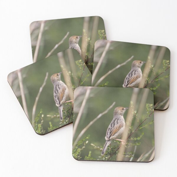 Item preview, The Winding Cisticola Says Hello designed and sold by Maridadi-Design.