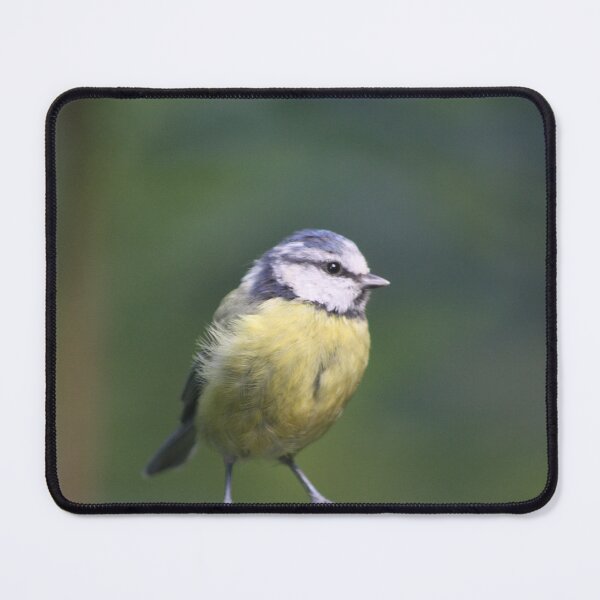 Item preview, Blue Tit Ready for Food designed and sold by Maridadi-Design.