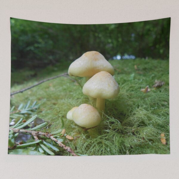 Item preview, PNW Fungi – Nature’s Hidden Gems designed and sold by starcraft542.