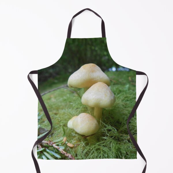 Item preview, PNW Fungi – Nature’s Hidden Gems designed and sold by starcraft542.