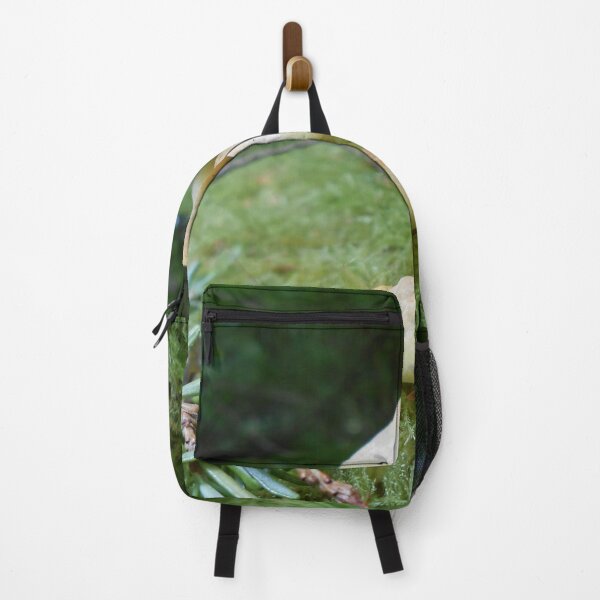 Item preview, PNW Fungi – Nature’s Hidden Gems designed and sold by starcraft542.