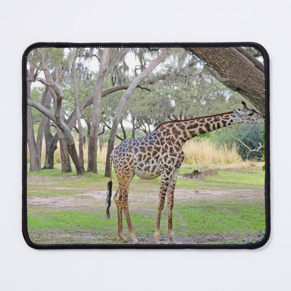 Item preview, Giraffe designed and sold by ShutterbugBttns.