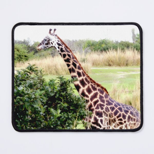 Item preview, Giraffe designed and sold by ShutterbugBttns.