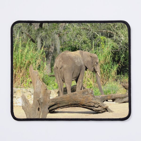 Item preview, Elephant designed and sold by ShutterbugBttns.