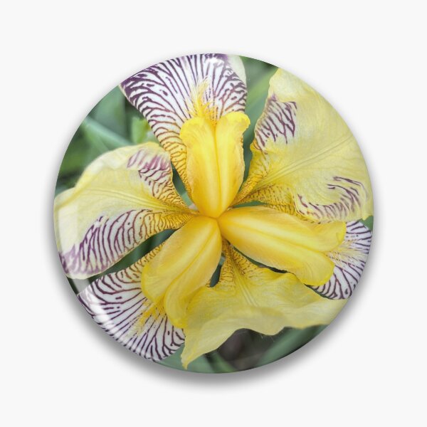 Item preview, A Symphony of Yellow and Purple designed and sold by Lana Magnolia.