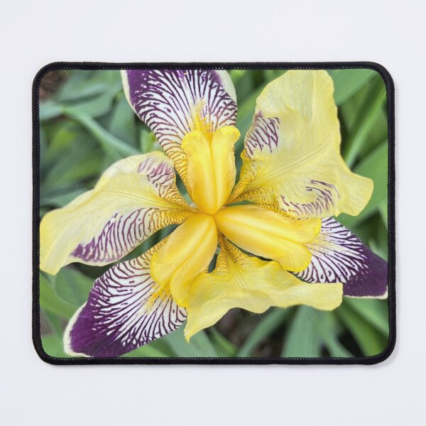 Item preview, A Symphony of Yellow and Purple designed and sold by Lana Magnolia.