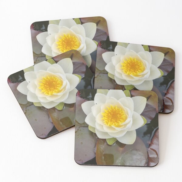 Item preview, Single white waterlily photograph  designed and sold by esvb.