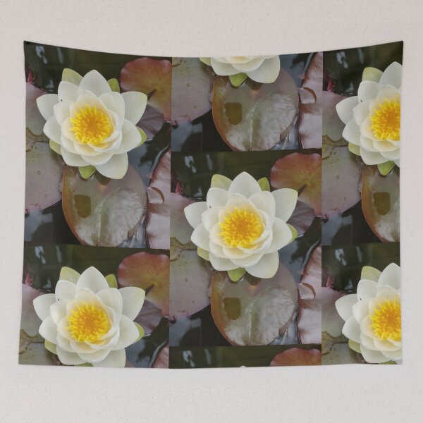 Item preview, Single white waterlily photograph  designed and sold by esvb.