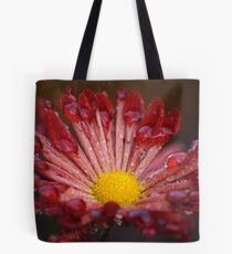Water Straws.. Tote Bag
