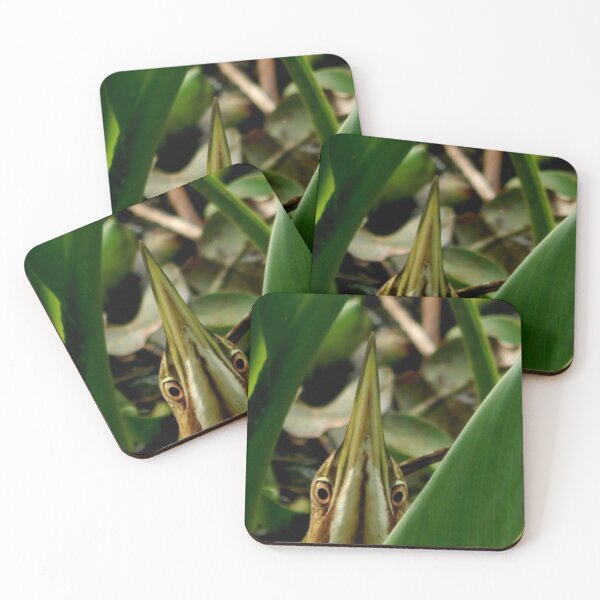 Item preview, American Bittern designed and sold by Coley Optera.