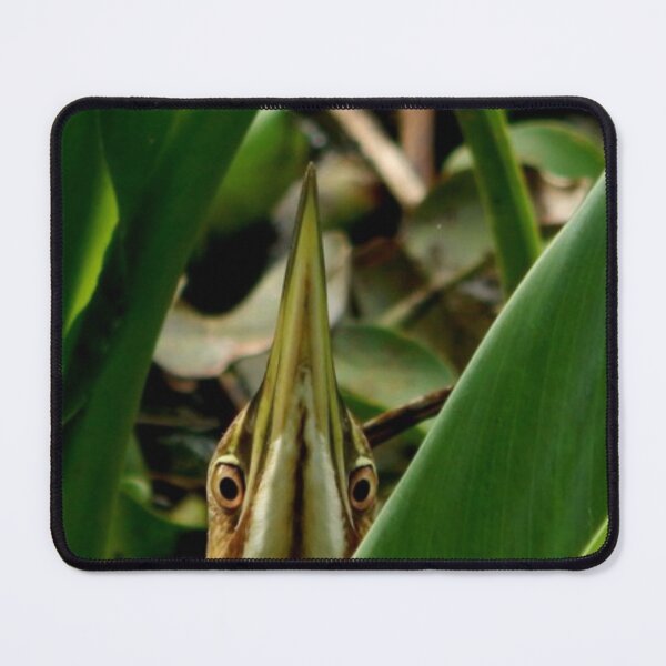 Item preview, American Bittern designed and sold by Coley Optera.