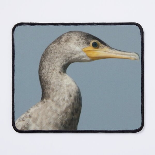 Item preview, Double-crested Cormorant designed and sold by Coley Optera.