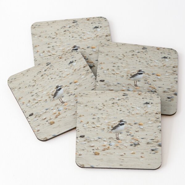 Item preview, Wilson's Plover designed and sold by Coley Optera.
