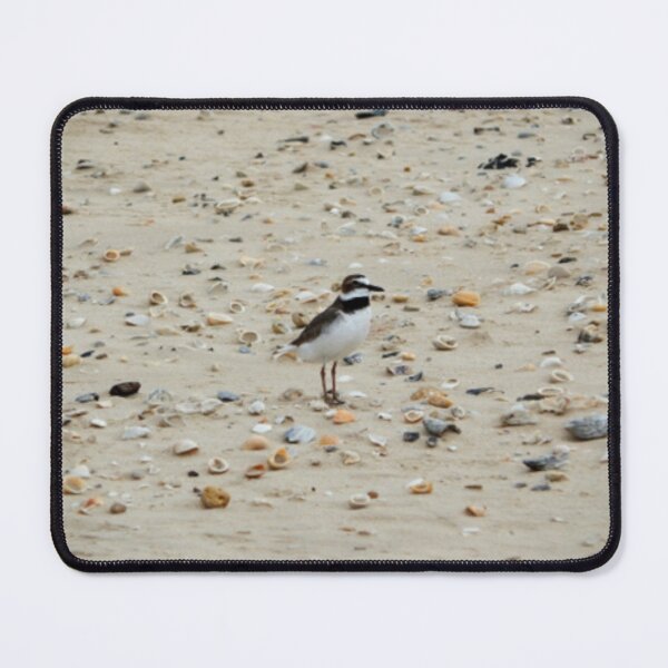 Item preview, Wilson's Plover designed and sold by Coley Optera.