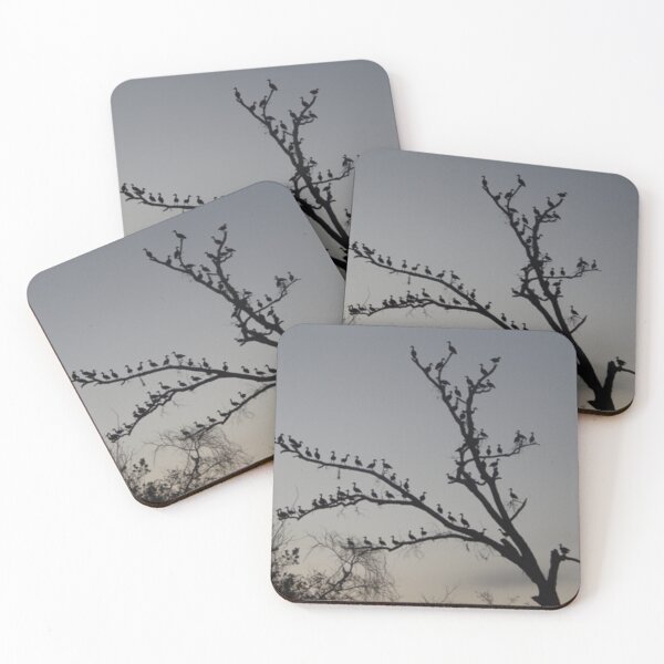 Item preview, Ducks in a Row designed and sold by Coley Optera.