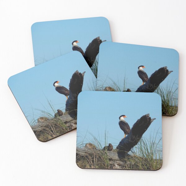 Item preview, Crested Caracara designed and sold by Coley Optera.