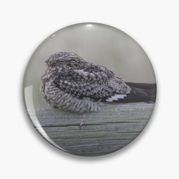 Item preview, Common Nighthawk designed and sold by Coley Optera.