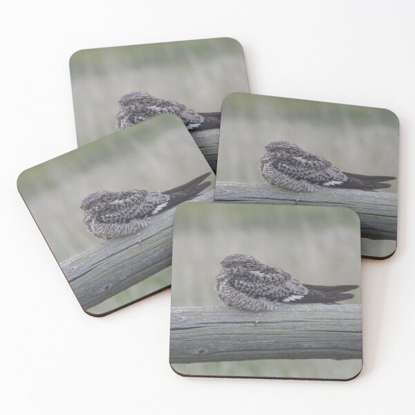 Item preview, Common Nighthawk designed and sold by Coley Optera.