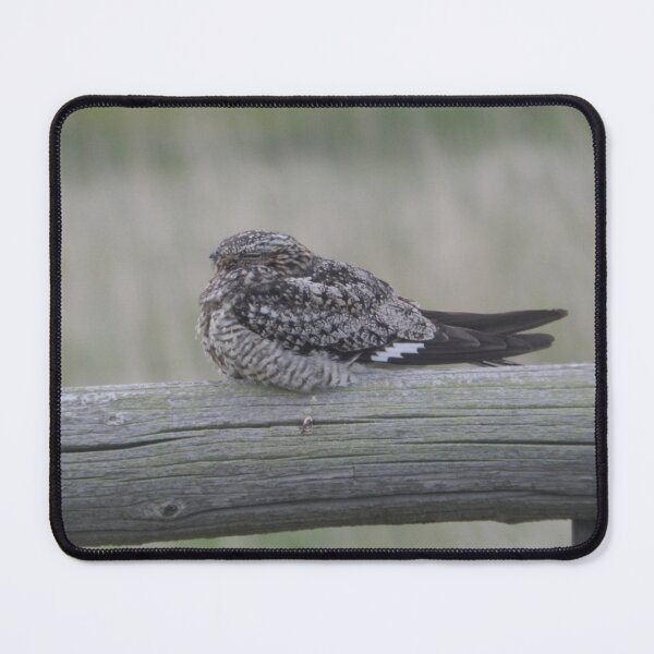 Item preview, Common Nighthawk designed and sold by Coley Optera.
