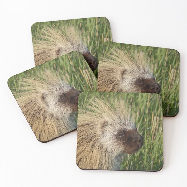 Item preview, North American Porcupine designed and sold by Coley Optera.