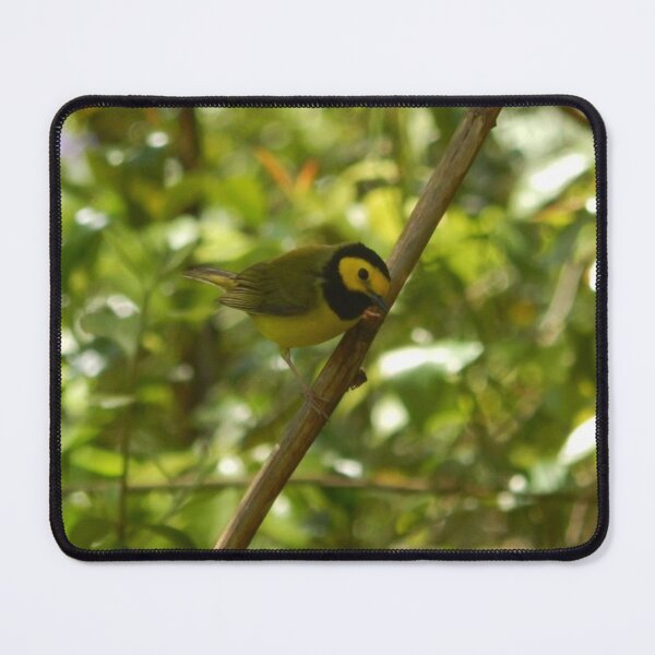 Item preview, Hooded Warbler designed and sold by Coley Optera.