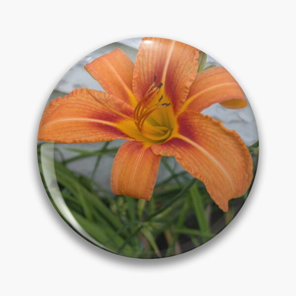 Item preview, Twin Flames: Daylilies at the Wall designed and sold by NoRagetsArt.