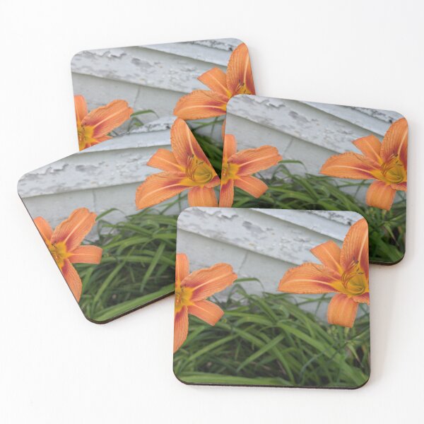 Item preview, Twin Flames: Daylilies at the Wall designed and sold by NoRagetsArt.