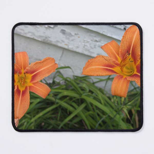Item preview, Twin Flames: Daylilies at the Wall designed and sold by NoRagetsArt.