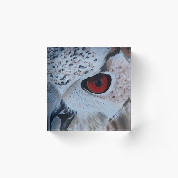 Red Eyed Owl Acrylic Block