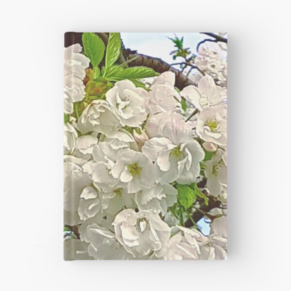 Item preview, White Cherry Blossoms – Elegant Spring Floral Photography designed and sold by Hanna Mavi Studio .