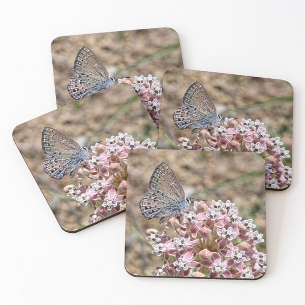Item preview, Algodoncillo y mariposa designed and sold by Betsy Phillips.