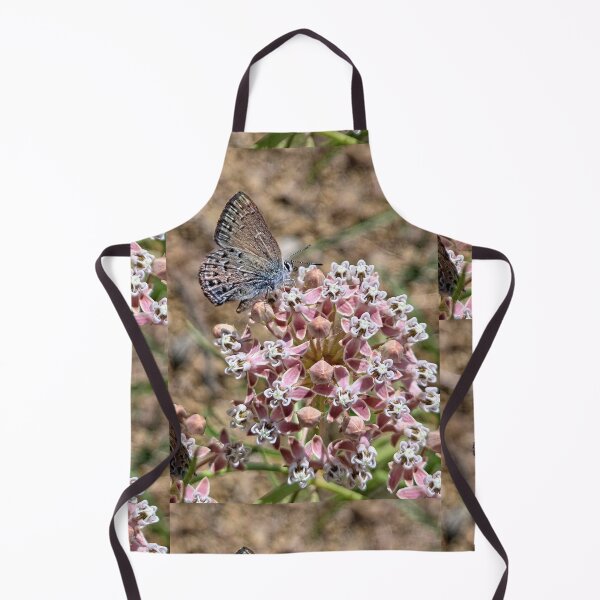 Item preview, Milkweed and Butterfly designed and sold by Betsy Phillips.