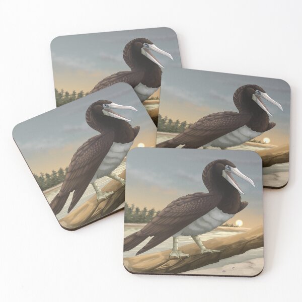 Item preview, Brown Booby designed and sold by DragonArtist15.