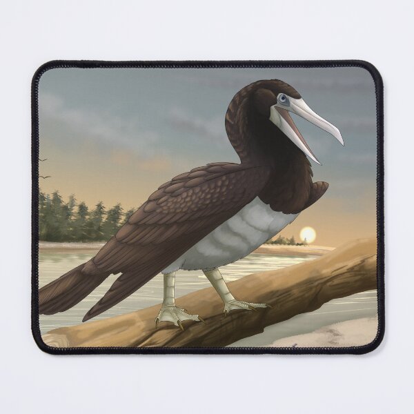 Item preview, Brown Booby designed and sold by DragonArtist15.