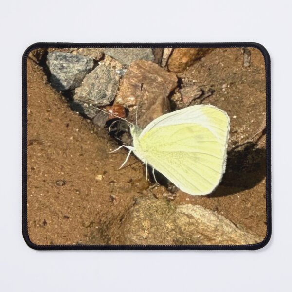 Item preview, Cabbage White Wings designed and sold by WildSoulThreads.