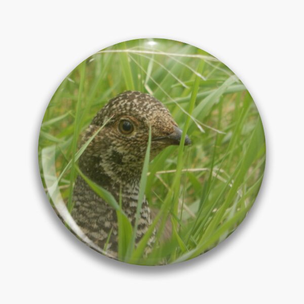 Item preview, Dusky Grouse designed and sold by Coley Optera.