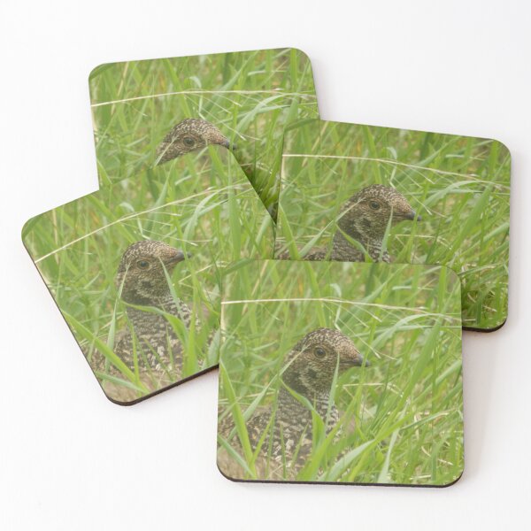 Item preview, Dusky Grouse designed and sold by Coley Optera.
