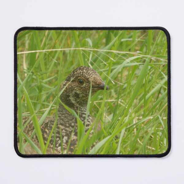 Item preview, Dusky Grouse designed and sold by Coley Optera.
