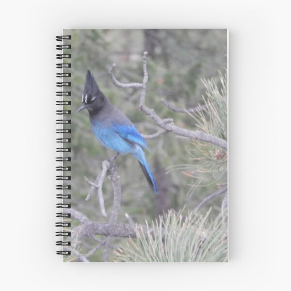 Item preview, Stellar's Jay designed and sold by Coley Optera.